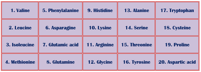 Table showing the amino acids in the structure of proteins