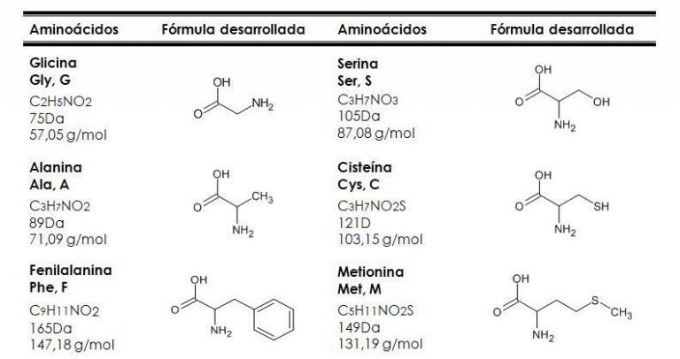 Tabla que muestra algunas propiedades de los aminoácidos