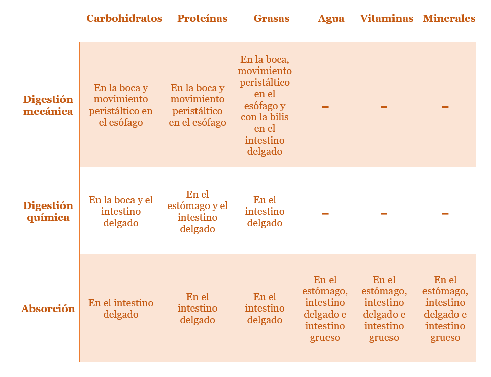 Tabla que muestra el procedimiento de digestión