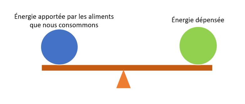 Schéma illustrant un bilan énergétique neutre