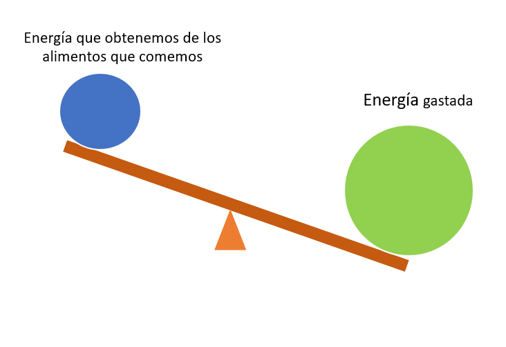 Una imagen que muestra un balance energético negativo