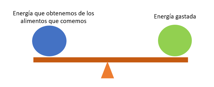 Una representación visual que muestra el balance energético neutral