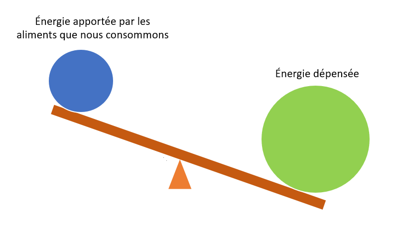 Schéma illustrant un bilan énergétique négatif