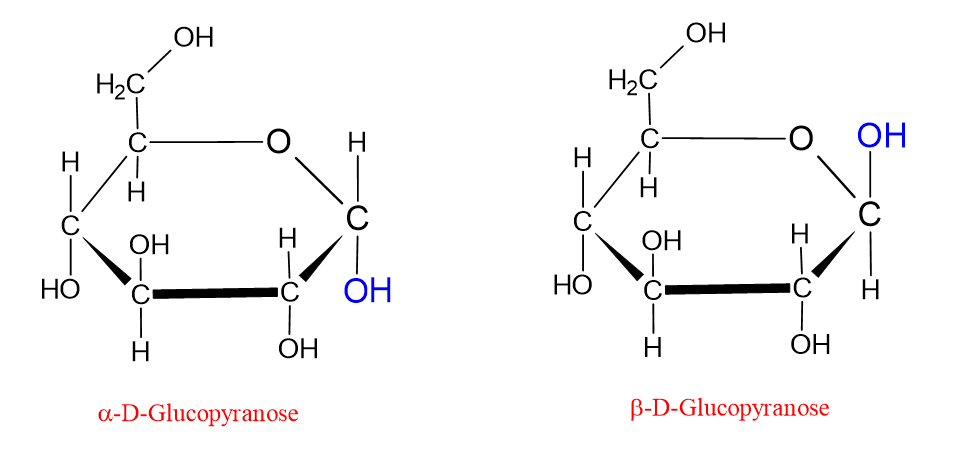 Diagram showing the anomers of D-glucose.