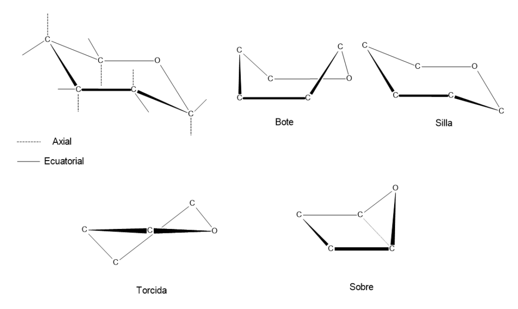 Diagrama que muestra las diferentes conformaciones de los monosacáridos