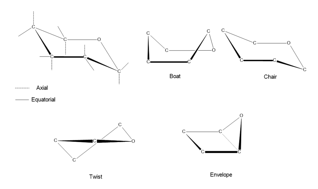 Diagram showing different conformations of monosaccharides.