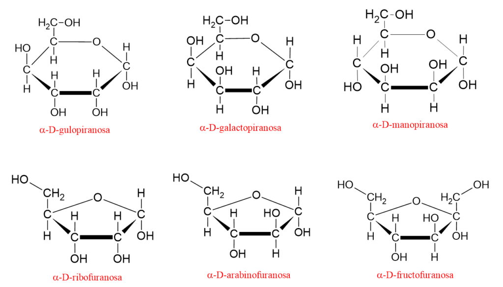 Diagrama que muestra las estructuras anulares de algunos monosacáridos