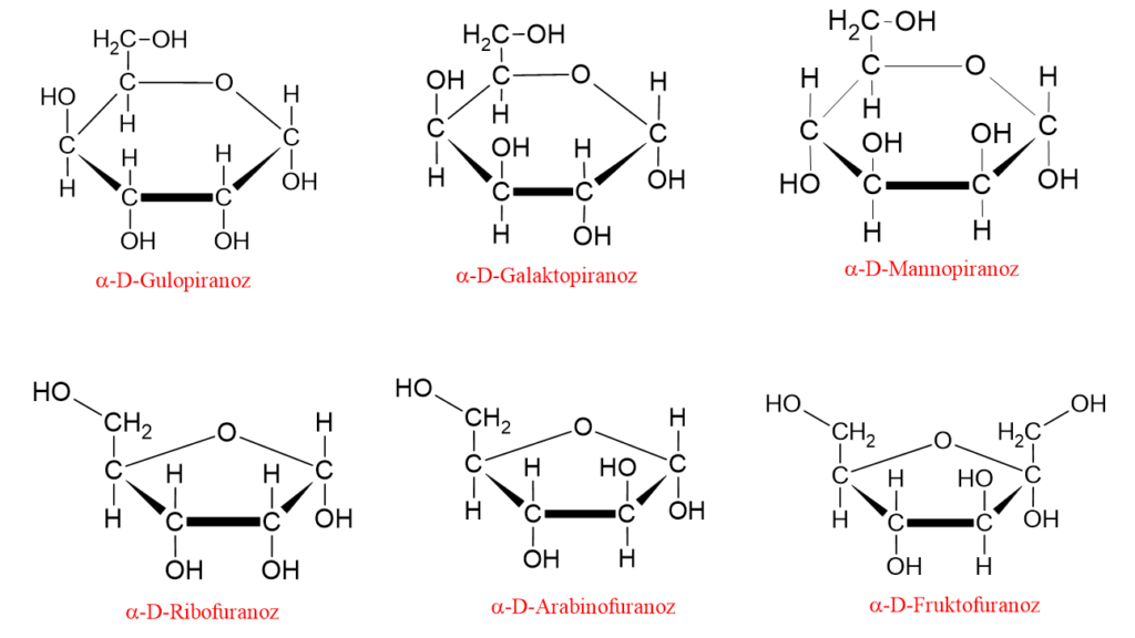 Bazı monosakkaritlerin halka yapısını gösteren resim