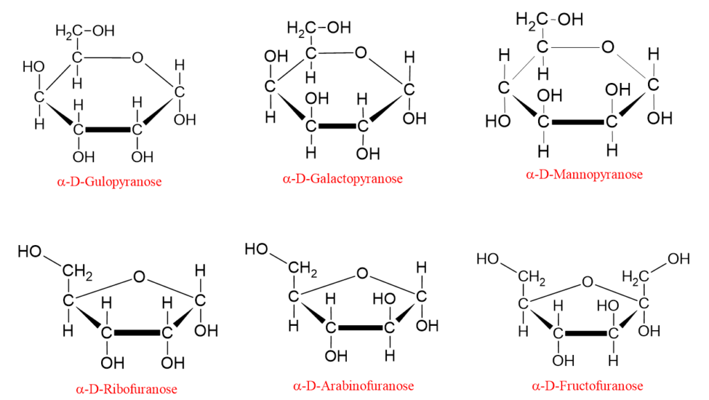 Diagram showing the ring structures of some monosaccharides.