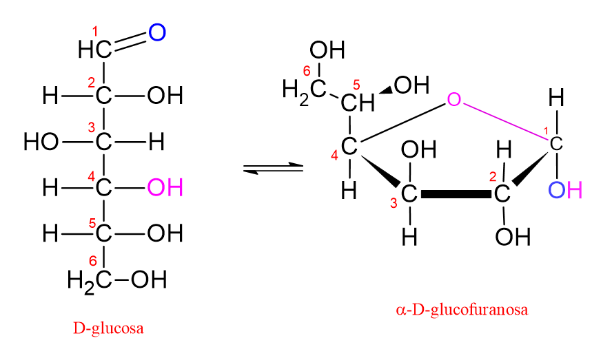Diagrama que muestra la conversión de D-glucosa en furanosa