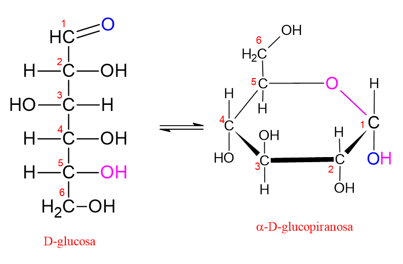 Diagrama que muestra la conversión de la D-glucosa a su forma piranosa