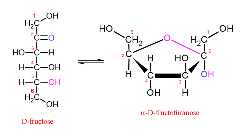 image illustrant la conversion du D-fructose en furanose