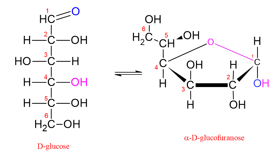Image montrant la conversion du D-glucose en forme de furanose