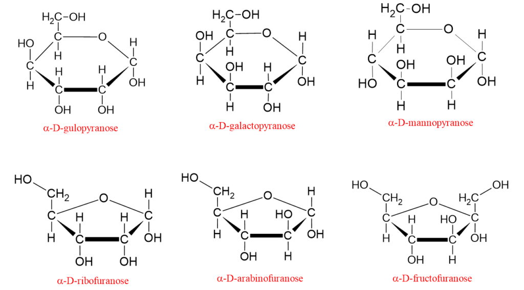 Image montrant les structures cycliques de certains monosaccharides